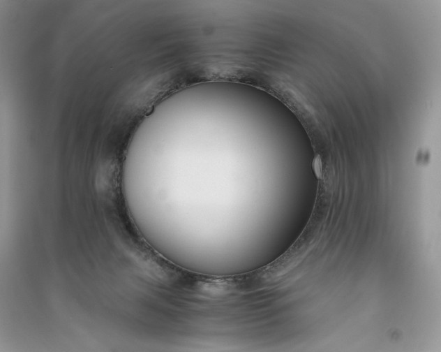 X0000090900079200708131401