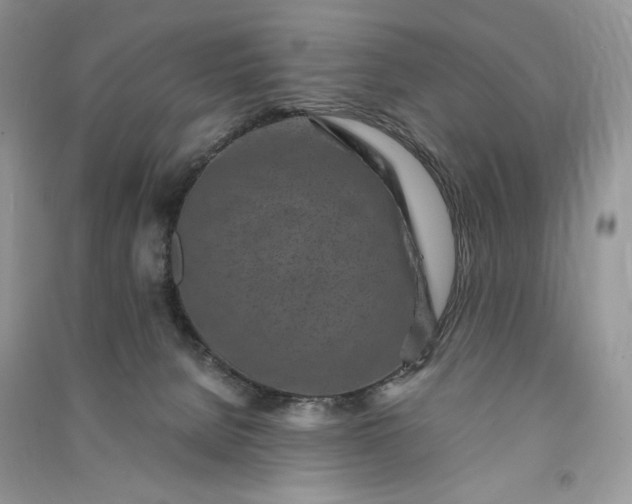 X0000090900080200708131401