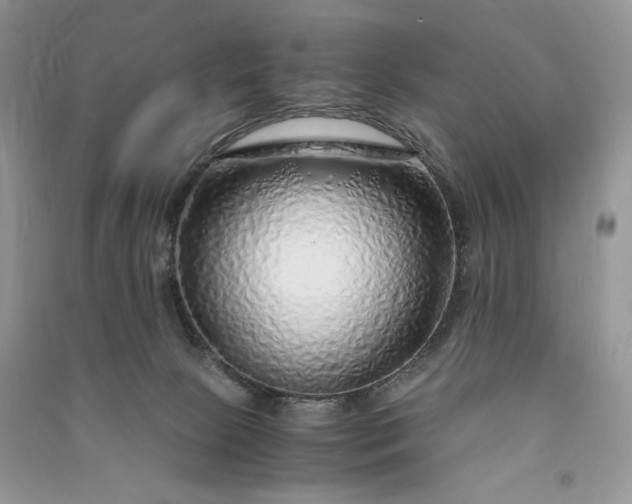 X0000090900081200708131401