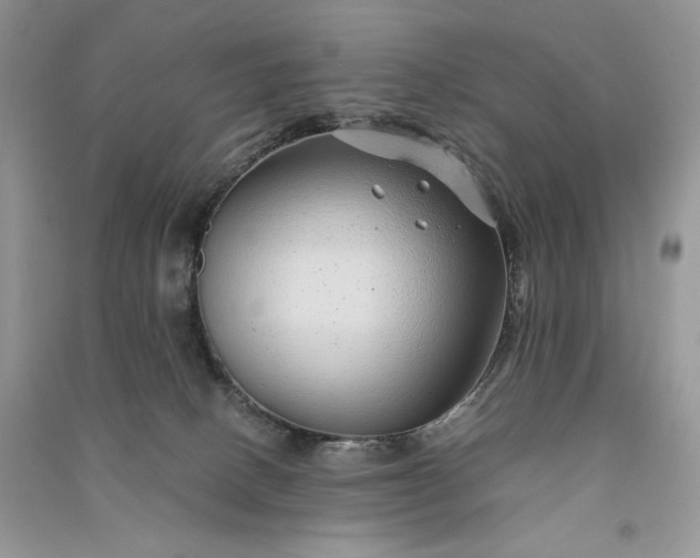 X0000090900082200708131401