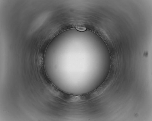 X0000090900083200708131401