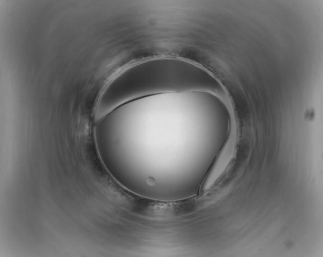 X0000090900084200708131401