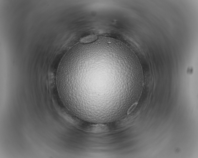 X0000090900087200708131401