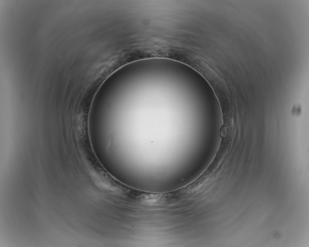 X0000090900088200708131401