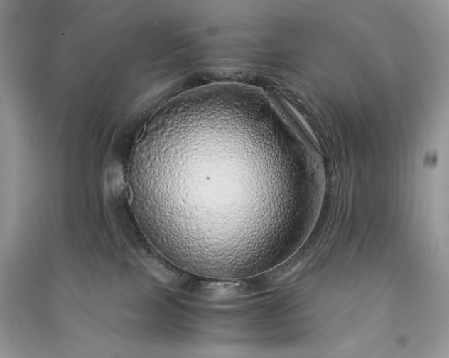 X0000090900089200708131401