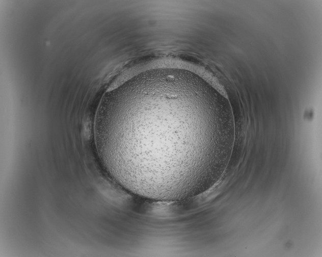 X0000090900090200708131401