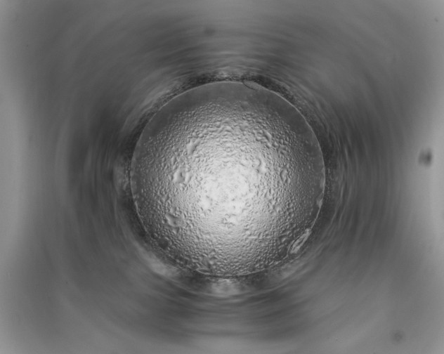 X0000090900091200708131401