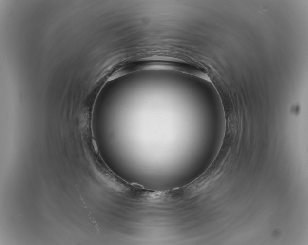 X0000090900092200708131401