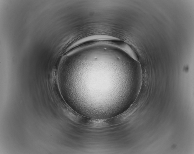 X0000090900093200708131401