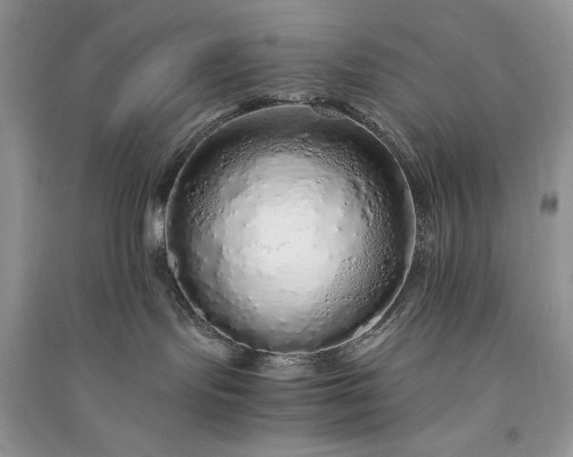 X0000090900095200708131401