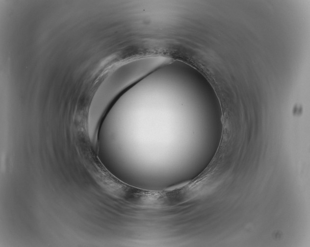 X0000090900096200708131401