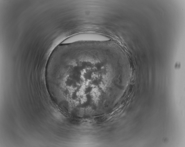 X0000090900099200708131400