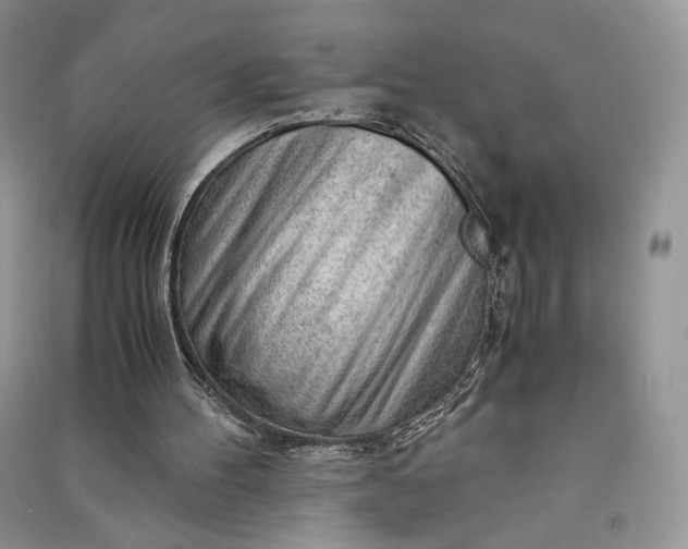 X0000090900100200708131400