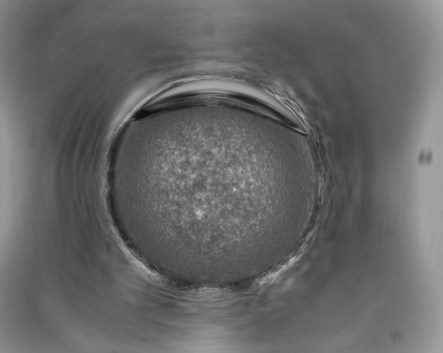 X0000090900101200708131400