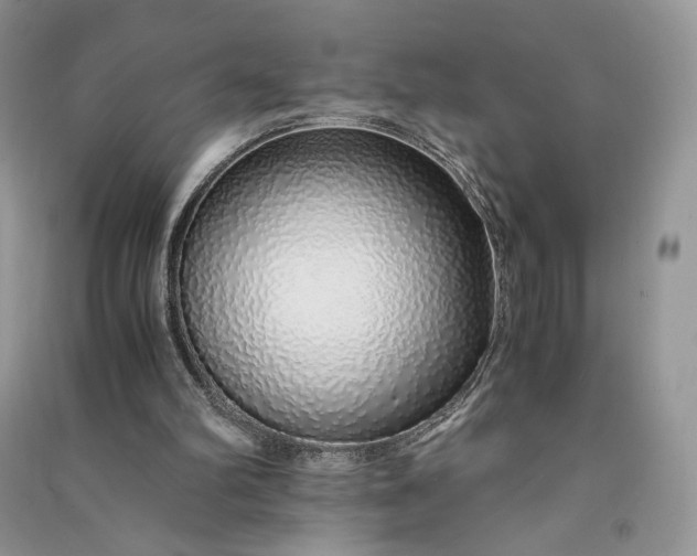 X0000090900102200708131400