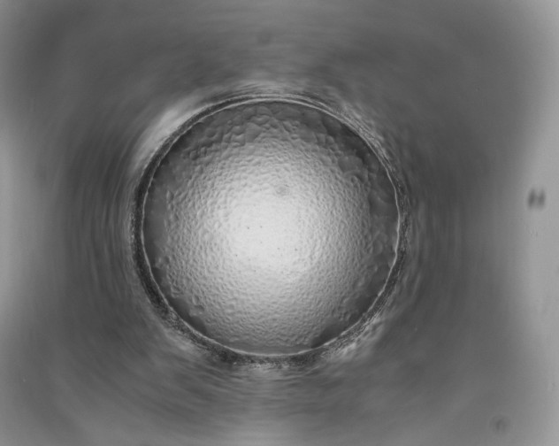 X0000090900103200708131400