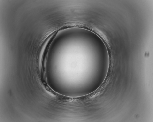 X0000090900105200708131400