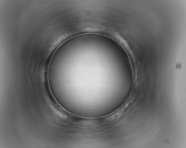 X0000090900106200708131400