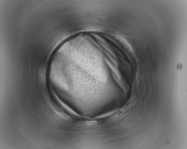 X0000090900108200708131400