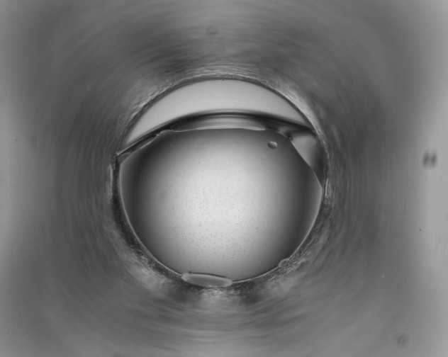 X0000090900109200708131400