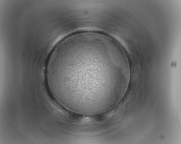 X0000090900111200708131400