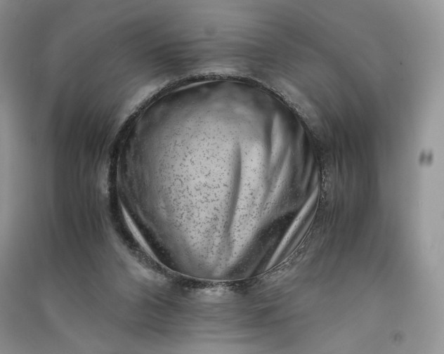 X0000090900112200708131400