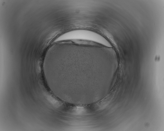 X0000090900114200708131400