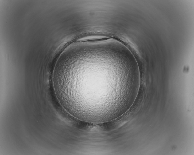 X0000090900115200708131400