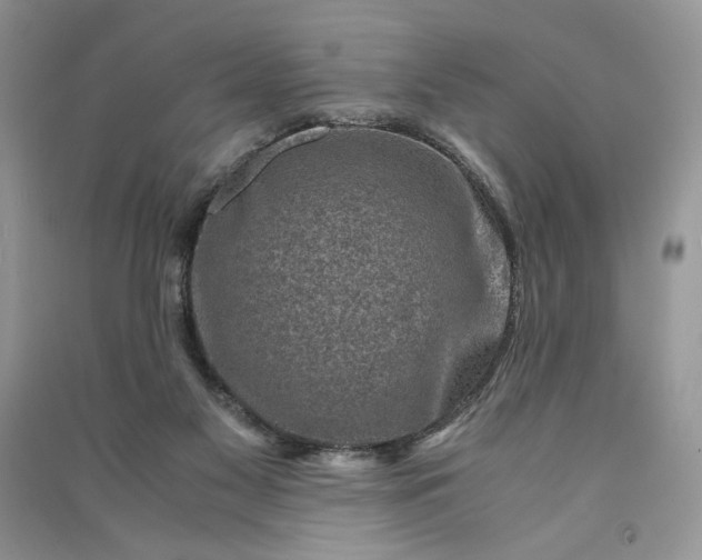 X0000090900117200708131400