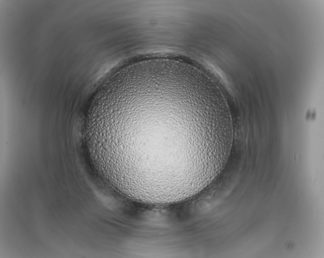 X0000090900119200708131400