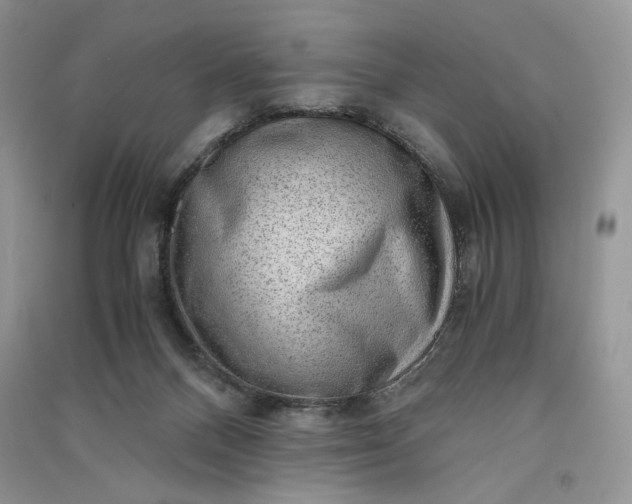 X0000090900120200708131400