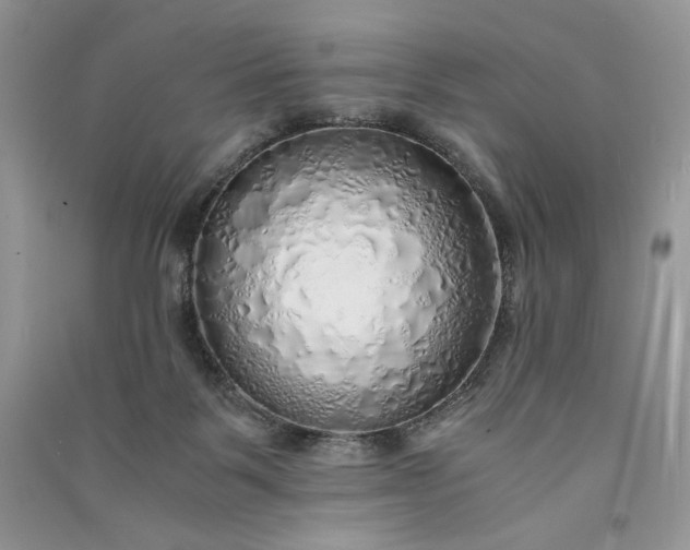 X0000090900123200708131400