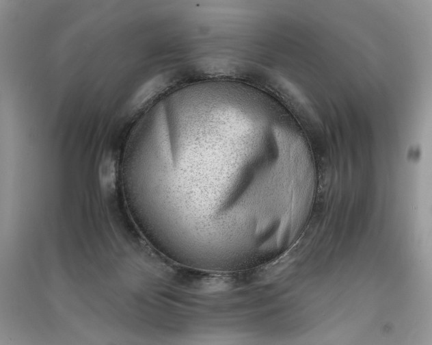 X0000090900124200708131400