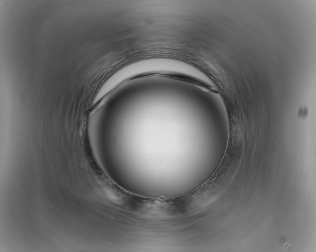 X0000090900125200708131400