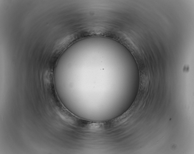 X0000090900126200708131400