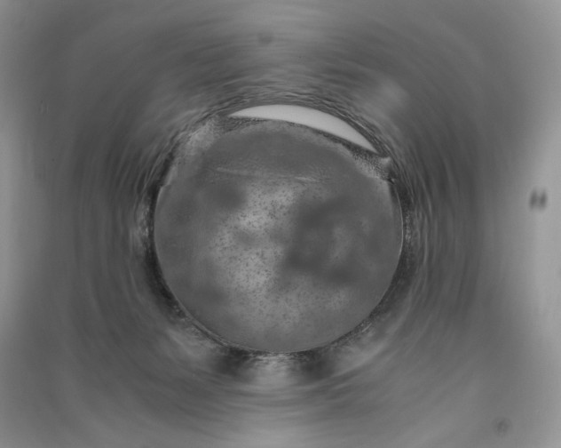 X0000090900127200708131400