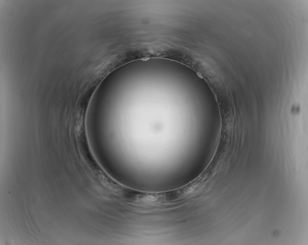 X0000090900129200708131400