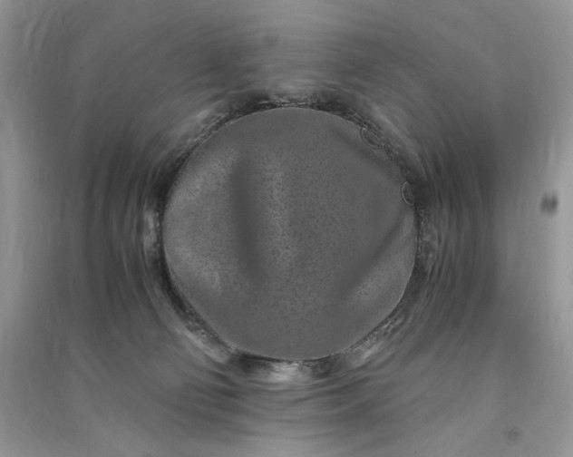 X0000090900130200708131400