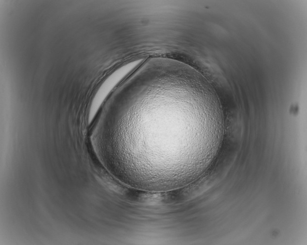 X0000090900131200708131400