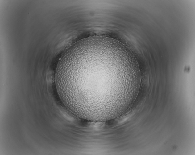 X0000090900135200708131400