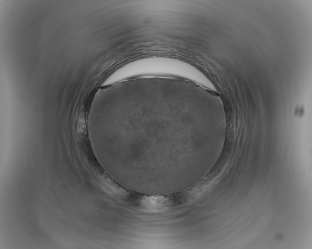 X0000090900137200708131400