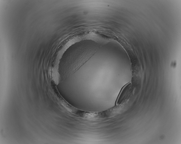 X0000090900139200708131400