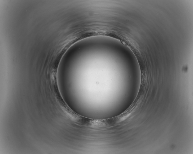 X0000090900141200708131400