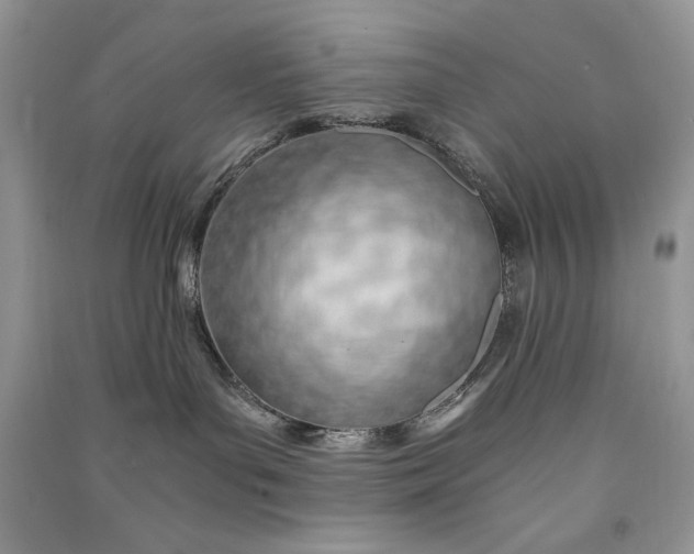 X0000090900143200708131400