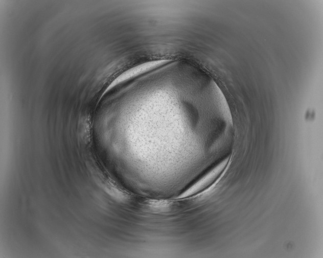 X0000090900144200708131400