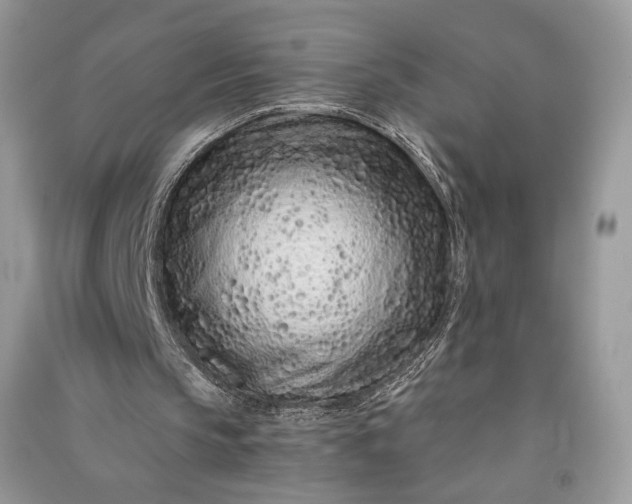 X0000090900145200708131359