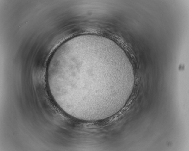 X0000090900146200708131359