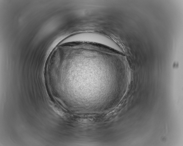 X0000090900147200708131359