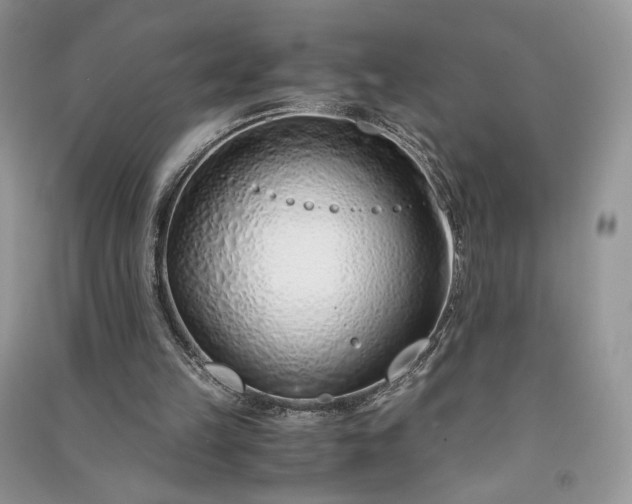 X0000090900149200708131359