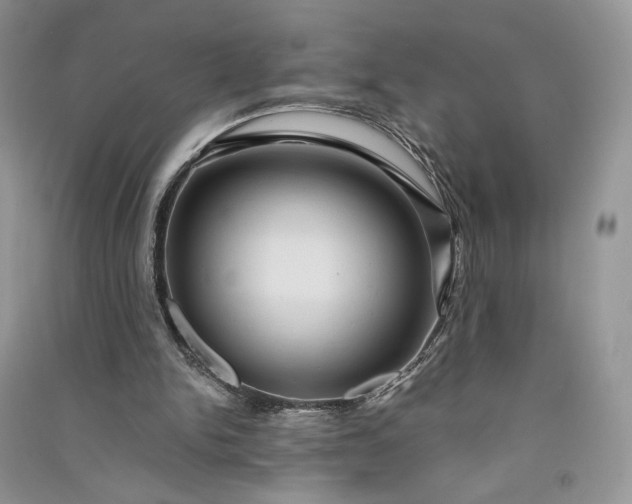 X0000090900150200708131359